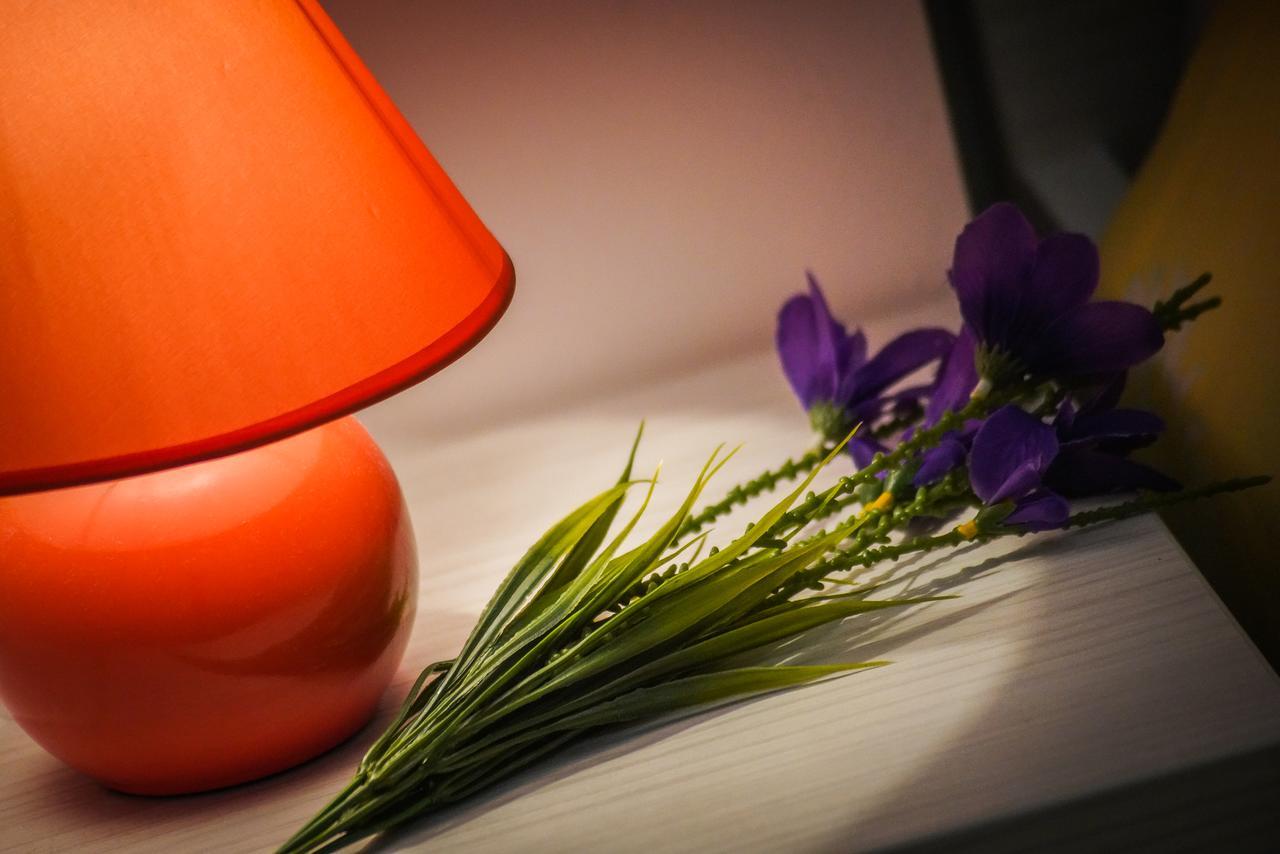 Grepo Sljeme Apartment Makarska